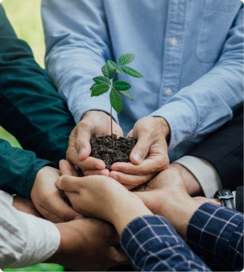 Sustainability responsibility with hands holding plant representing environmental care
